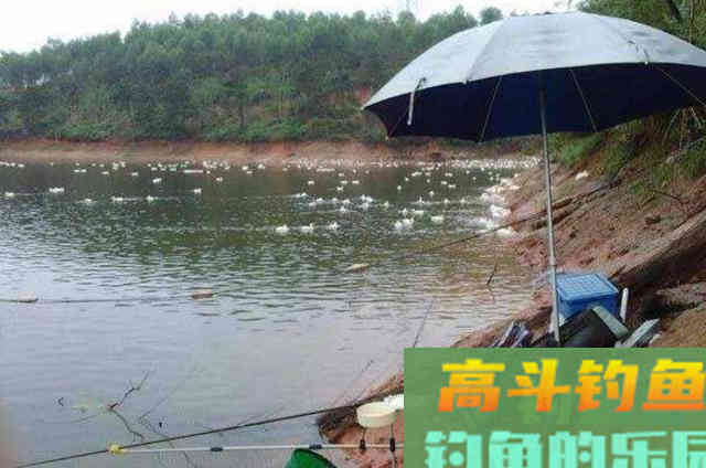 一到五月，我就只喜欢用这草鱼钓法