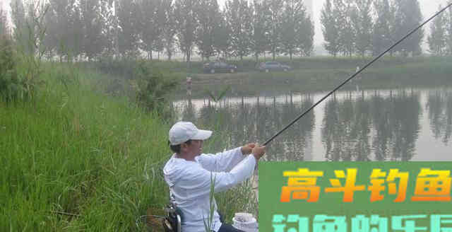 钓鱼不钓草等于瞎胡跑?主因有3点,下次我也要钓草 钓鱼不钓草等于瞎胡跑?主因有3点,下次我也要钓草