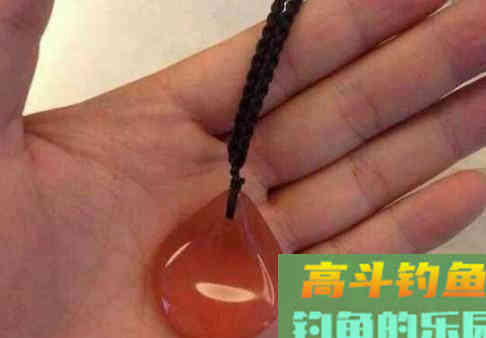 唯一一种鱼没牙齿贵的鱼，青鱼的无奈，四大家鱼中最难的一位