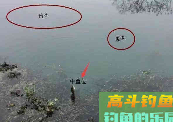 长竿短线钓鲫鱼,这3个重点要抓住 长竿短线钓鲫鱼,这3个重点要抓住