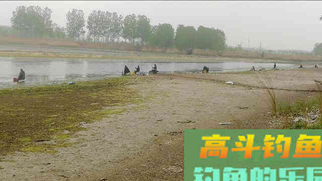 野钓鲫鱼，如何做到小中取大，学会专钓大鲫鱼
