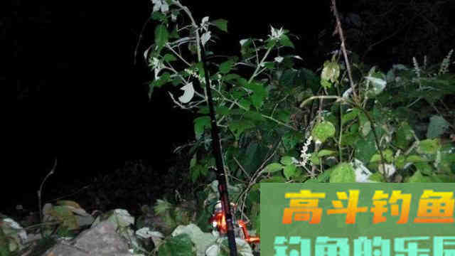 大西南的深山溪流里钓山鲶，这种极品鱼吃起来弹嘴