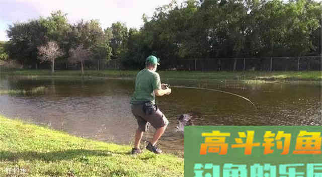 鲫鱼小于10厘米，超过10条就必须放流，未来野钓应该怎么办