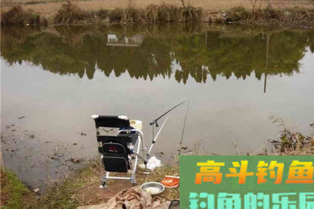 钓了半天都不见板鲫咬钩?那是你没找到这3个地方 钓了半天都不见板鲫咬钩?那是你没找到这3个地方