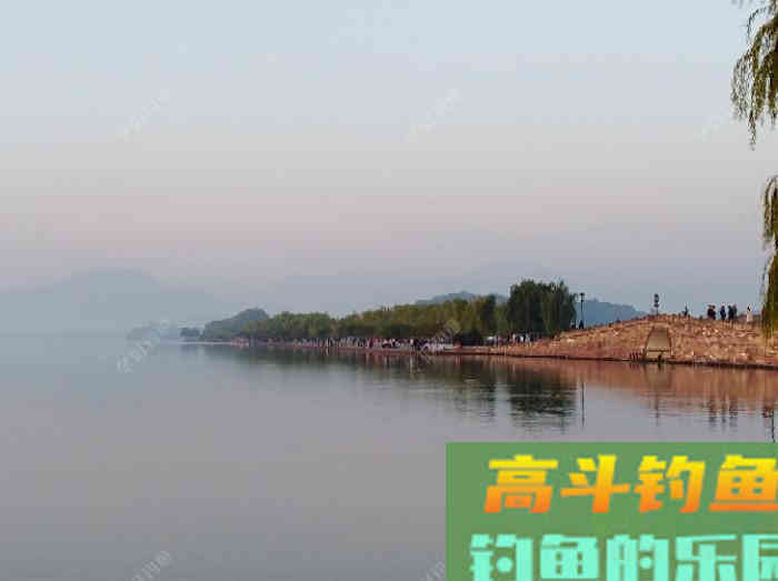 初冬钓大鲫体会，从四个方面解析，教你钓大鲫鱼