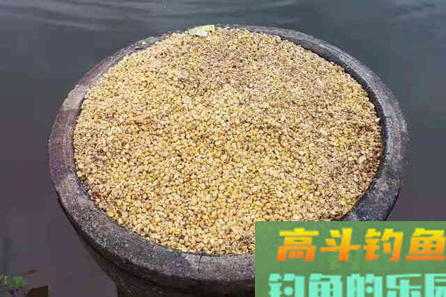 天气一热，&ldquo;对付&rdquo;草鱼换用这窝料
