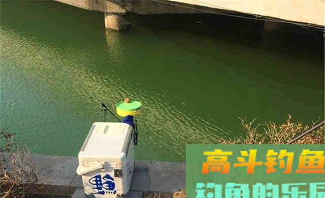 晚秋钓鲫鱼,选择钓位宜浅不宜深 晚秋钓鲫鱼,选择钓位宜浅不宜深