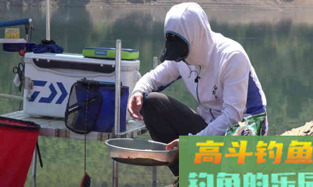 夏季钓鲢鳙，要学会用饵、找鱼