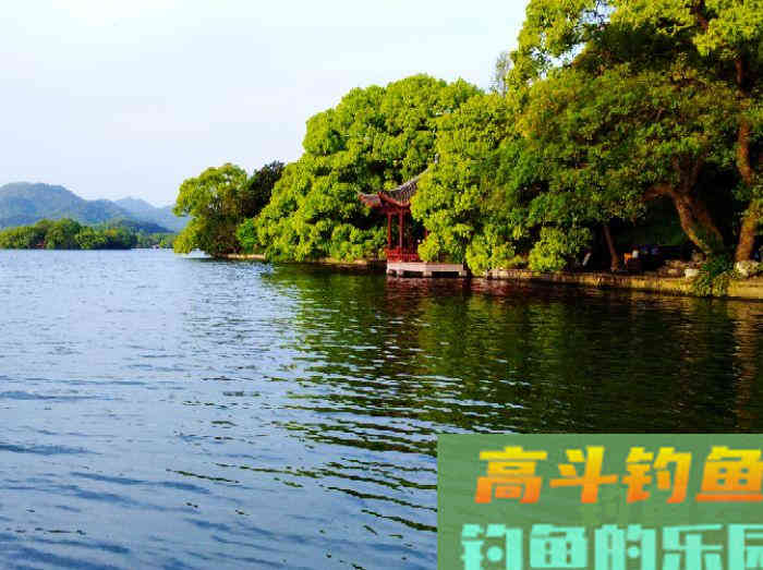 如何在浅水域钓大鲫鱼,学好这3个技巧,爆护不远了 如何在浅水域钓大鲫鱼,学好这3个技巧,爆护不远了