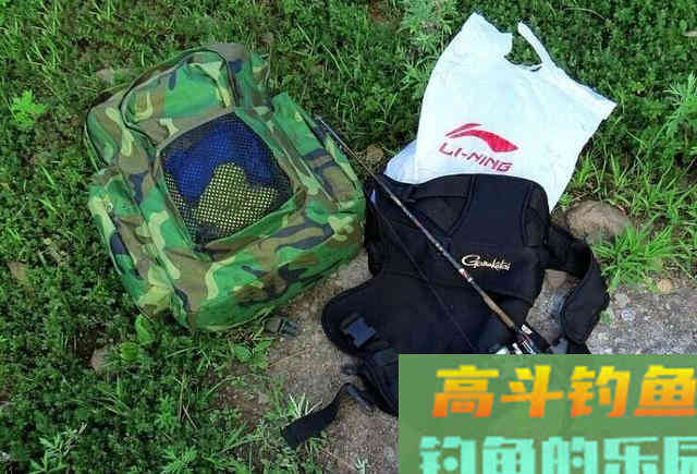 钓黄辣丁掌握好三个时机，四种钓法，一项注意