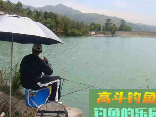 暖春钓鲤想要有渔获,用饵、钓深、钓位等技巧要重视 暖春钓鲤想要有渔获,用饵、钓深、钓位等技巧要重视