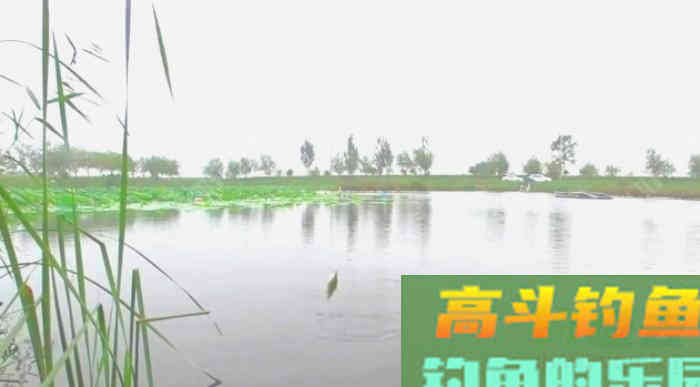 野钓策（18）&mdash;&mdash;野钓鲫鱼提竿的若干问题