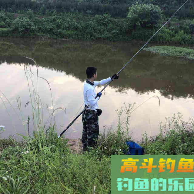 活学活用这几个技巧,冬天用谷麦钓鲤鱼 活学活用这几个技巧,冬天用谷麦钓鲤鱼