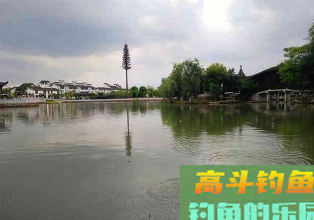 春季钓不好鲫鱼,不是水里没鱼和饵料不对,真相是这 春季钓不好鲫鱼,不是水里没鱼和饵料不对,真相是这