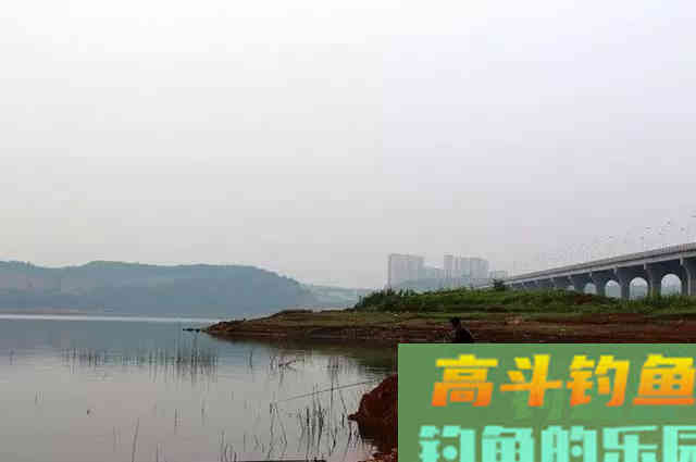 为何钓鲤上鱼多在早晚,午间却很难有中鱼的机会 为何钓鲤上鱼多在早晚,午间却很难有中鱼的机会