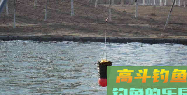 冬钓鲫鱼用这1招补窝法试试,连杆都连不及 冬钓鲫鱼用这1招补窝法试试,连杆都连不及