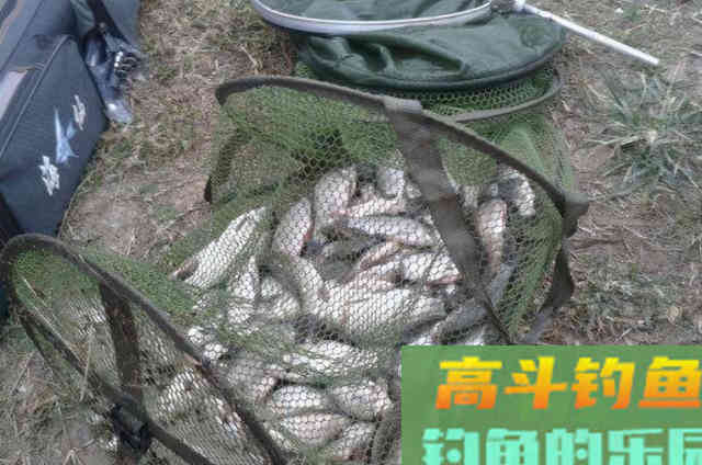 一提冬钓，我只喜欢用这方法对付鲫鱼