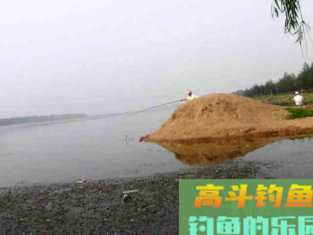 这种小翘嘴鱼长不大吗?有人叫它撅嘴鲢 这种小翘嘴鱼长不大吗?有人叫它撅嘴鲢