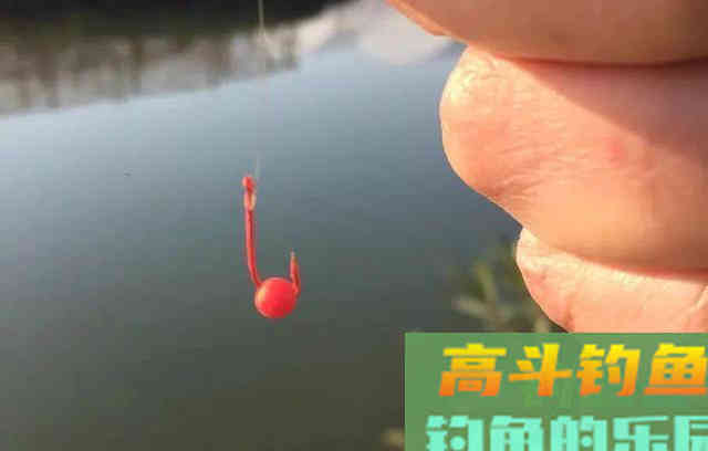 针对性很强的泡沫钓饵,避小取大,乃钓鲫鱼的利器 针对性很强的泡沫钓饵,避小取大,乃钓鲫鱼的利器