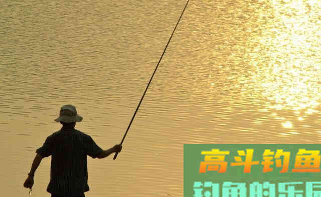 垂钓鲢鳙总是锚鱼没有正口？需分析原因