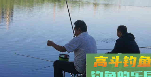 草鱼为何难钓?分析原因从它的生活习性入手 草鱼为何难钓?分析原因从它的生活习性入手