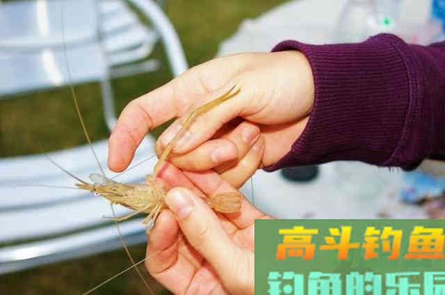 野钓利用手竿作钓大黑鱼的一些钓法技巧