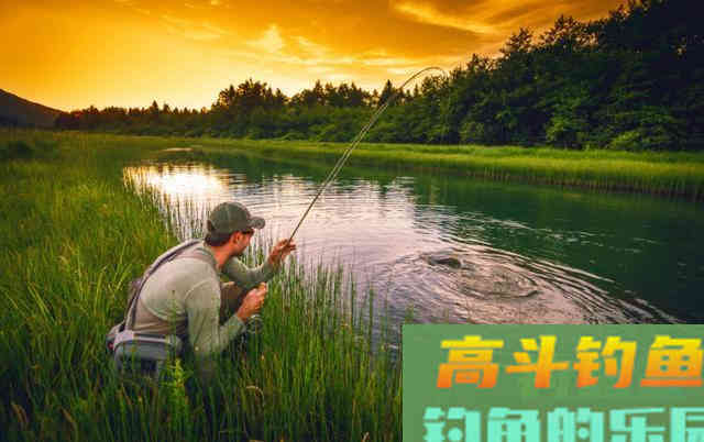 初冬钓大板鲫,记住“4要诀”,大板鲫连杆上 初冬钓大板鲫,记住“4要诀”,大板鲫连杆上