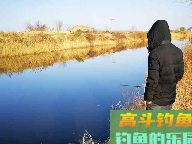 冬季钓鲫鱼，掌握这些技巧，渔获不发愁