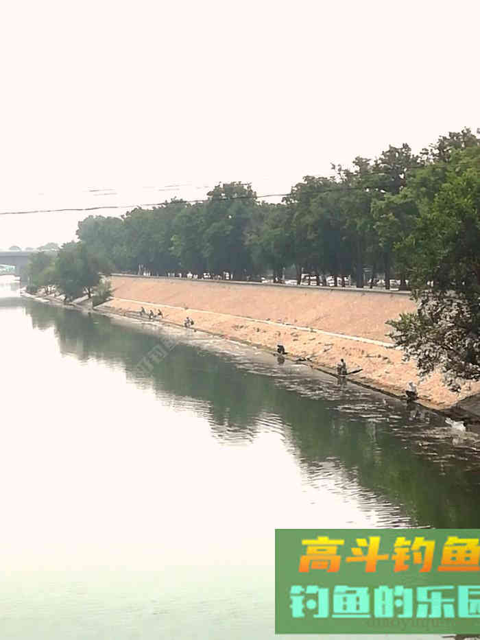 鲫鱼难钓的关键点和关联点,盛夏钓鲫浅探 鲫鱼难钓的关键点和关联点,盛夏钓鲫浅探