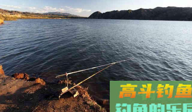 夏季如何垂钓青鱼