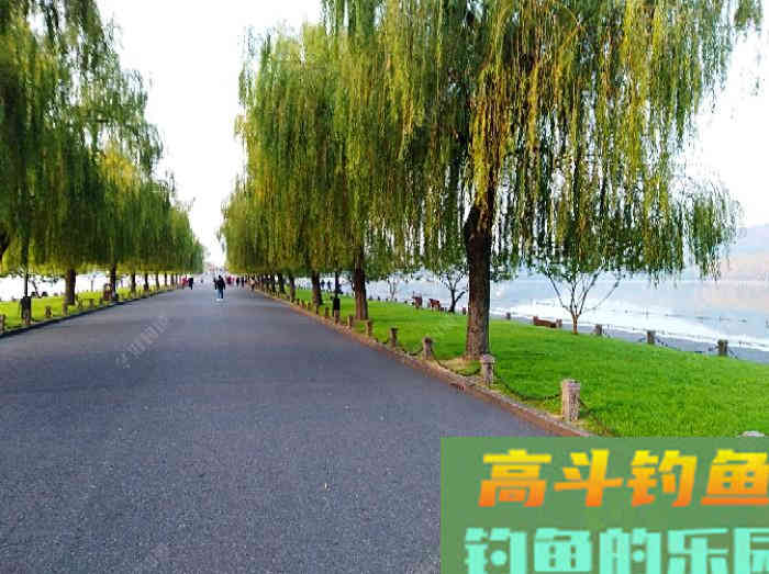 冬钓轻口鲫鱼的方法，谈鲫鱼若干漂相与应变技巧