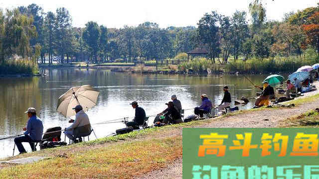春季野钓大板鲫,远离这六大误区 春季野钓大板鲫,远离这六大误区