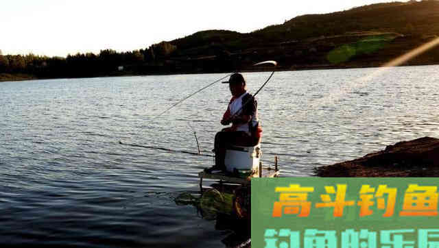 初夏，水库、池塘如何垂钓鲤鱼