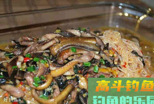 黄鳝到底是不是鱼？夏钓鳝鱼最当时