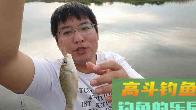 早春学会这样钓鲫鱼，简单实用渔获多