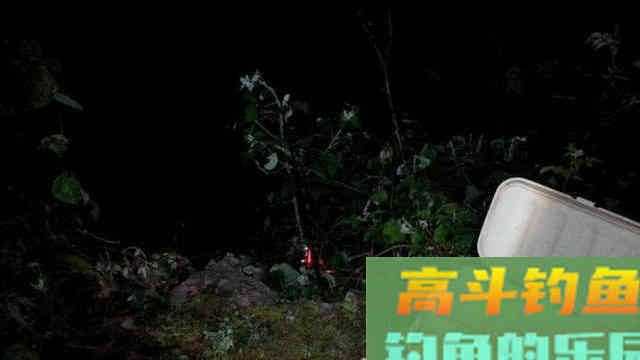 大西南的深山溪流里钓山鲶，这种极品鱼吃起来弹嘴