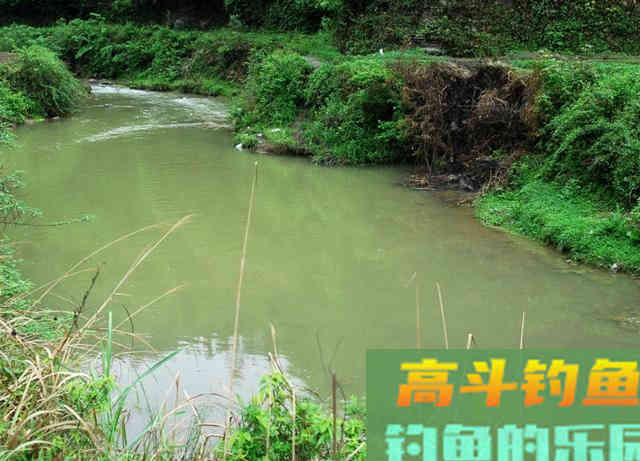 冬天钓鲫鱼，不光靠技术，&ldquo;套路&rdquo;比技术更实用