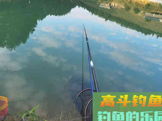 春钓鲫鱼,浅水和活饵是春钓鲫鱼的关键 春钓鲫鱼,浅水和活饵是春钓鲫鱼的关键