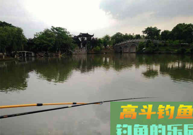 春季钓不好鲫鱼,不是水里没鱼和饵料不对,真相是这 春季钓不好鲫鱼,不是水里没鱼和饵料不对,真相是这