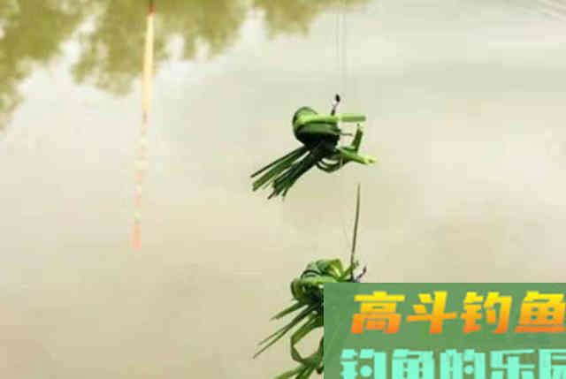 初秋时，我只需用好这草鱼钓法，连竿狂拔到手疼