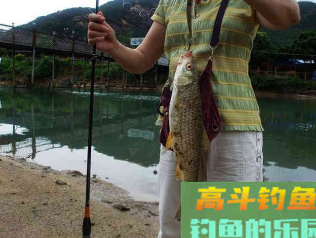 赤眼鳟的钓法与技巧，此鱼眼睛上长有红斑，酷似草鱼