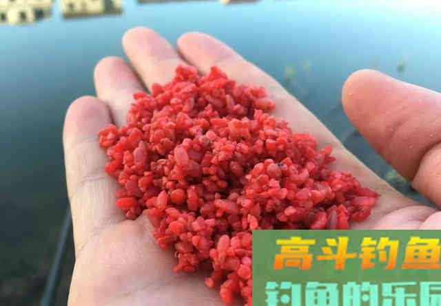 钓鲫鱼重在诱,窝料打太多实属浪费 钓鲫鱼重在诱,窝料打太多实属浪费
