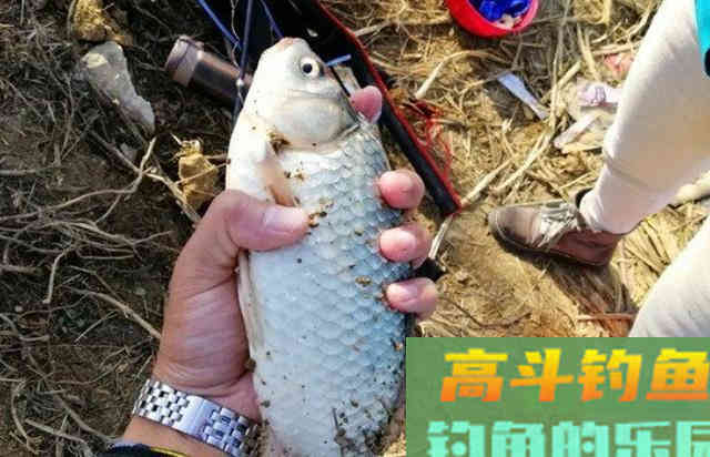 冬季户外野钓鲫鱼时需要注意的3个地方