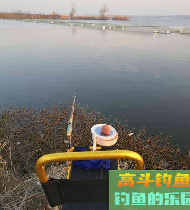 长江钓鱼，野钓鳊鱼分析教学，钓获20多斤野生鳊鱼和鲫鱼