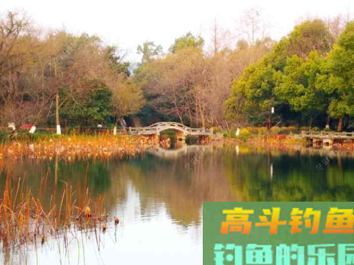 深冬钓鲫杂谈，就得小钩细线小漂、放大鱼口漂相