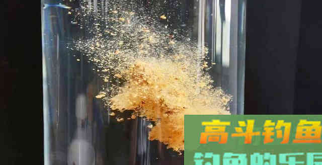 个人垂钓鲢鳙鱼心得分享，钓友可以借鉴参考