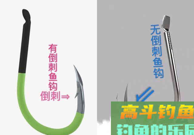 钓青鱼大物鱼钩的选择有何注意点，如何正确的去选择