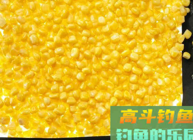 邓刚用玉米钓翘嘴，为啥你用玉米钓不到