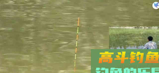 青鱼应分析水中氧含量与鱼情之间的关系,选择作钓位置 青鱼应分析水中氧含量与鱼情之间的关系,选择作钓位置