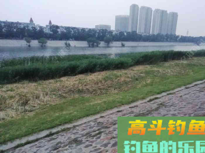 野钓策(14)——野钓鲫挂底的若干问题 野钓策(14)——野钓鲫挂底的若干问题